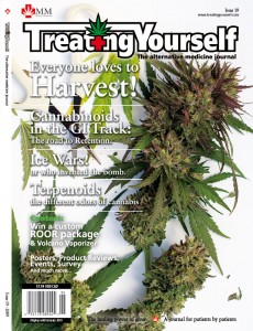 TY Issue #19 Now On Sale