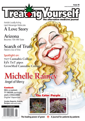 cover26web